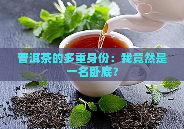 普洱茶的多重身份：我竟然是一名卧底？