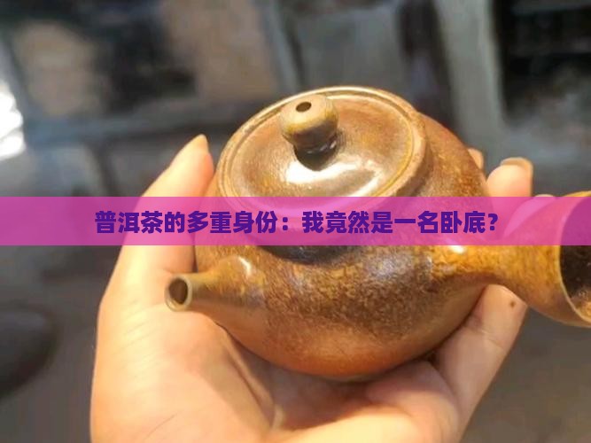 普洱茶的多重身份：我竟然是一名卧底？