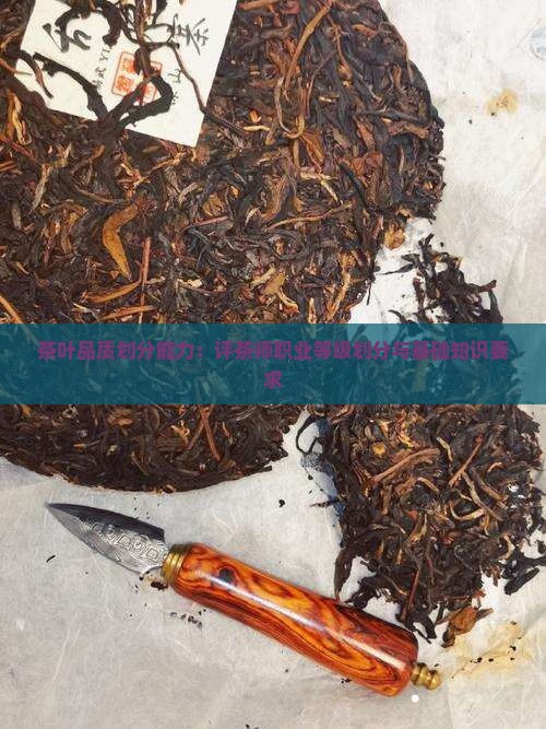 茶叶品质划分能力：评茶师职业等级划分与基础知识要求