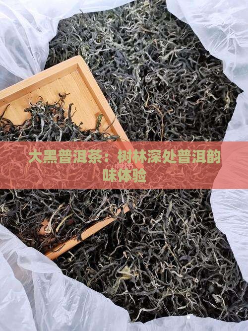 大黑普洱茶：树林深处普洱韵味体验