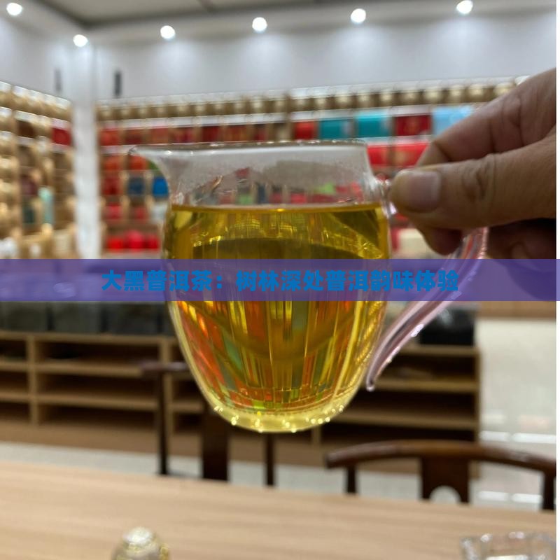 大黑普洱茶：树林深处普洱韵味体验