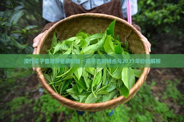 滑竹梁子普洱茶老茶价格：梁子古树特点与2017年价格解析