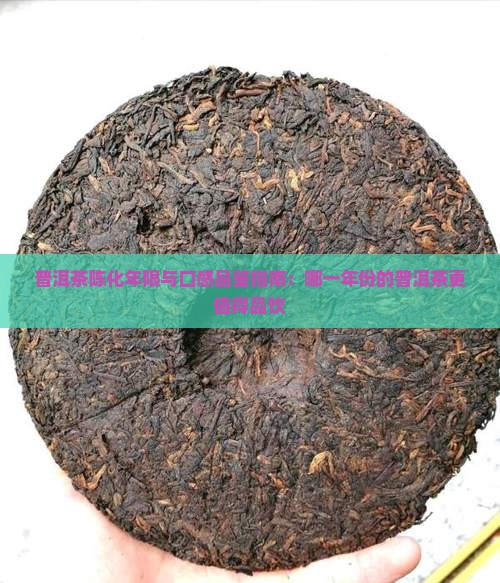 普洱茶陈化年限与口感品鉴指南：哪一年份的普洱茶更值得品饮