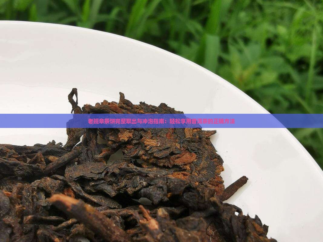 老班章茶饼完整取出与冲泡指南：轻松享用普洱茶的正确方法