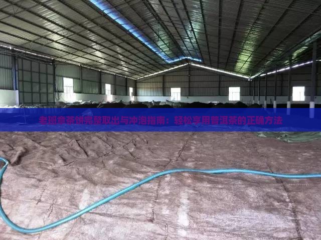 老班章茶饼完整取出与冲泡指南：轻松享用普洱茶的正确方法