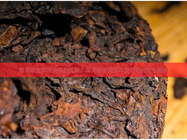 普洱茶生茶与熟茶的区别：深入解析普洱与生熟茶的区分要点