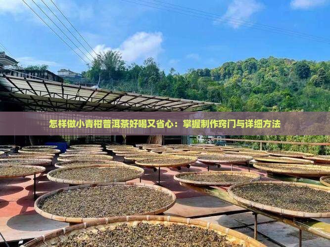 怎样做小青柑普洱茶好喝又省心：掌握制作窍门与详细方法