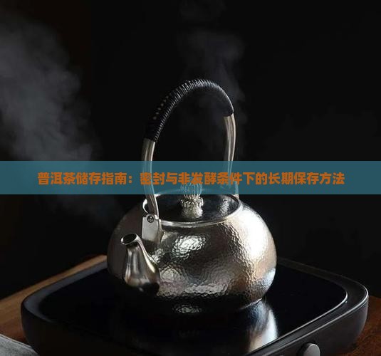 普洱茶储存指南：密封与非发酵条件下的长期保存方法