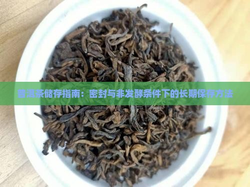 普洱茶储存指南：密封与非发酵条件下的长期保存方法