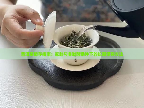 普洱茶储存指南：密封与非发酵条件下的长期保存方法