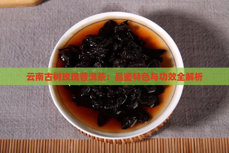 云南古树玫瑰普洱茶：品鉴特色与功效全解析