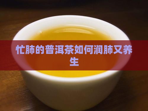 忙肺的普洱茶如何润肺又养生