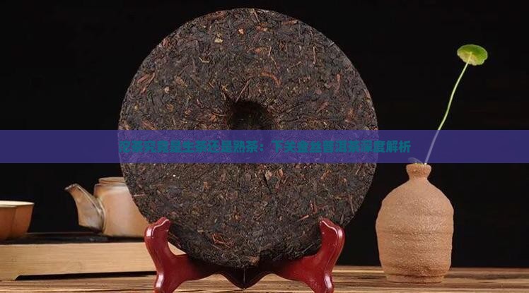 沱茶究竟是生茶还是熟茶：下关金丝普洱茶深度解析