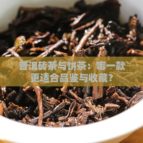 普洱砖茶与饼茶：哪一款更适合品鉴与收藏？