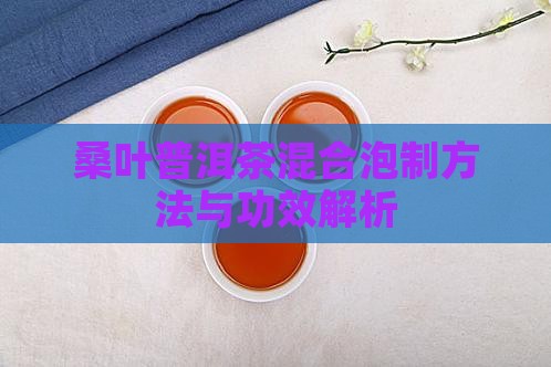 桑叶普洱茶混合泡制方法与功效解析