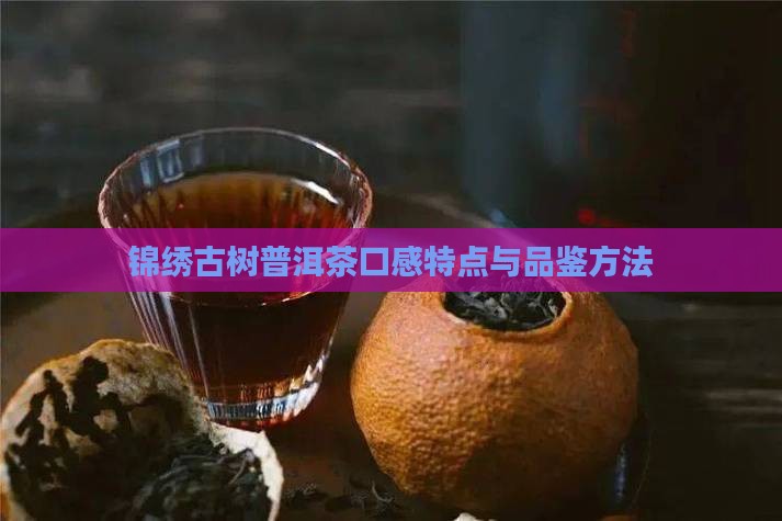 锦绣古树普洱茶口感特点与品鉴方法