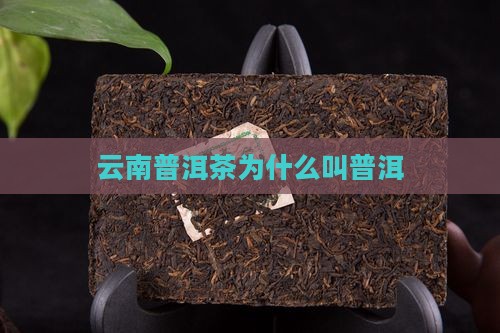 云南普洱茶为什么叫普洱