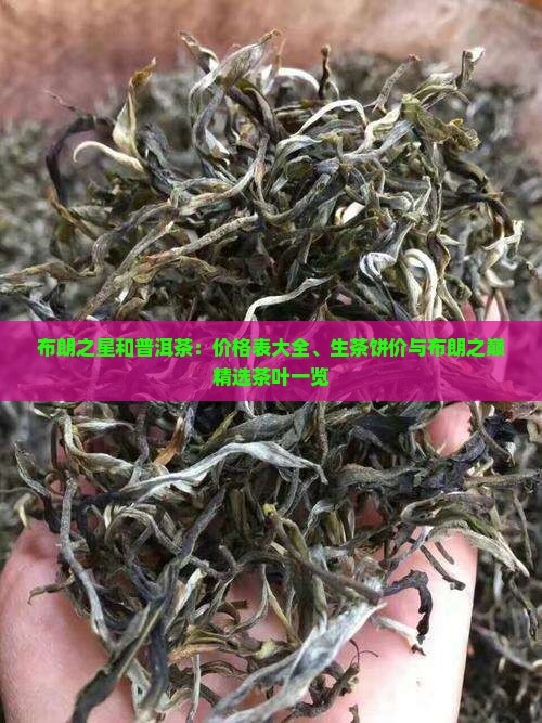 布朗之星和普洱茶：价格表大全、生茶饼价与布朗之巅精选茶叶一览