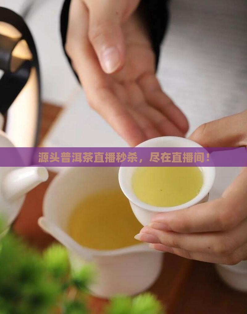 源头普洱茶直播秒杀，尽在直播间！