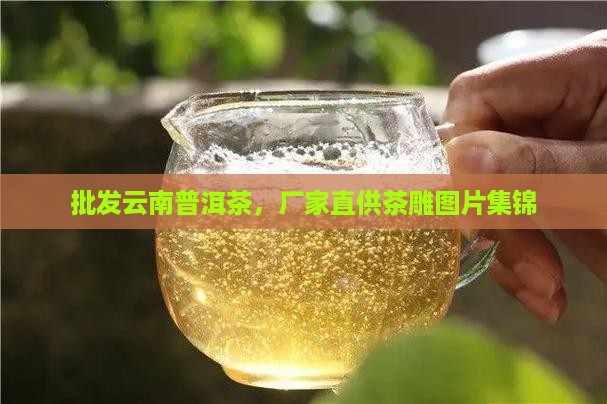 批发云南普洱茶，厂家直供茶雕图片集锦