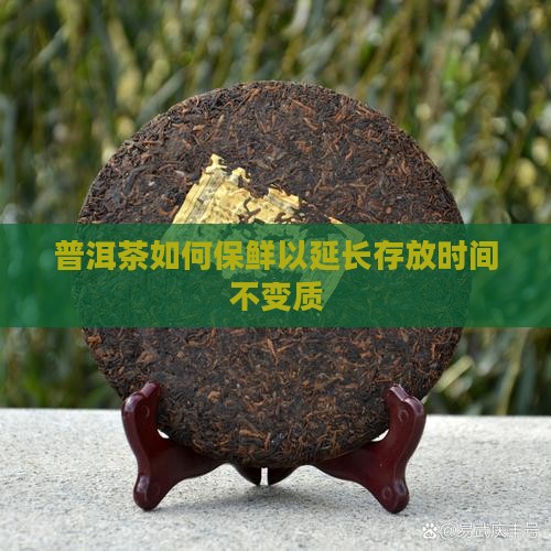 普洱茶如何保鲜以延长存放时间不变质