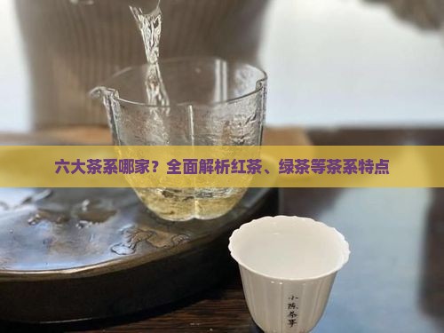 六大茶系哪家？全面解析红茶、绿茶等茶系特点
