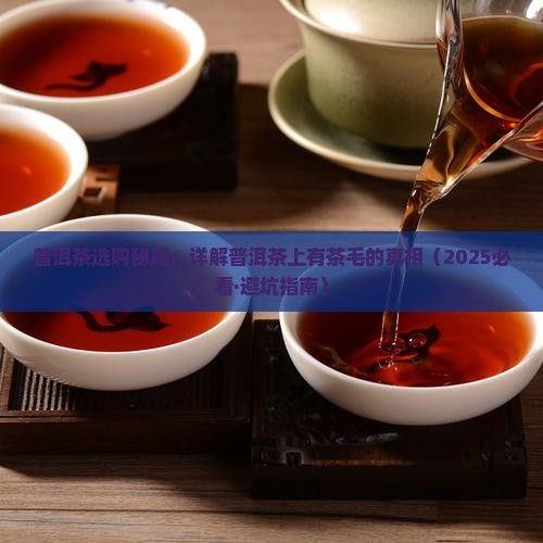 普洱茶上有茶毛