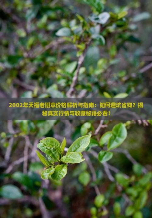 2002年天福老班章价格