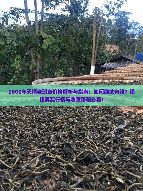 2002年天福老班章价格