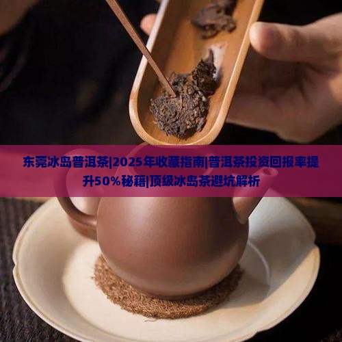 东莞冰岛普洱茶