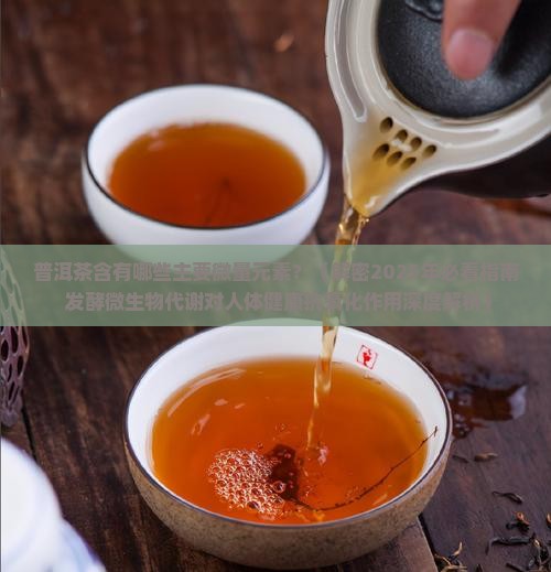 普洱茶含有什么微量元素