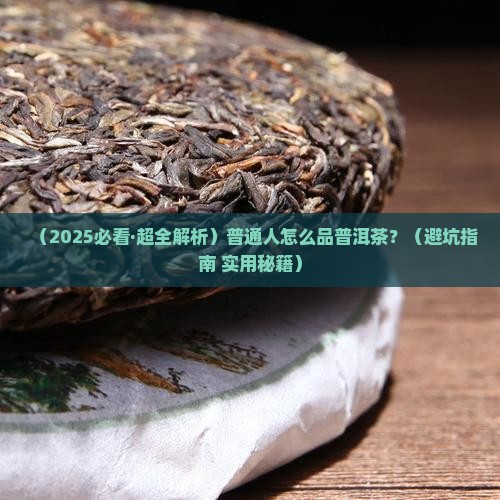 怎么品一杯普洱茶