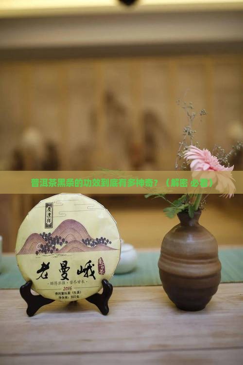 普洱茶黑条功效