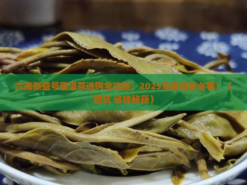 六南新益号普洱茶