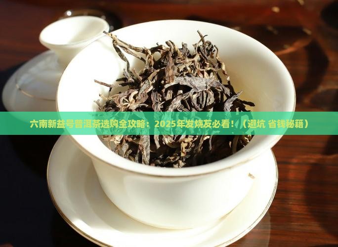 六南新益号普洱茶