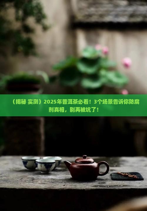 普洱茶里会添加防腐剂吗