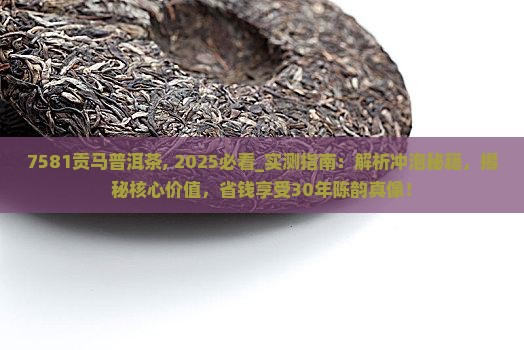 7581贡马普洱茶