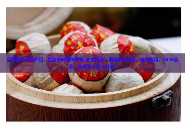 品普茶叶产品介绍