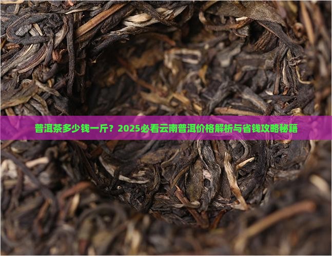 老梁说普洱茶多少钱一斤