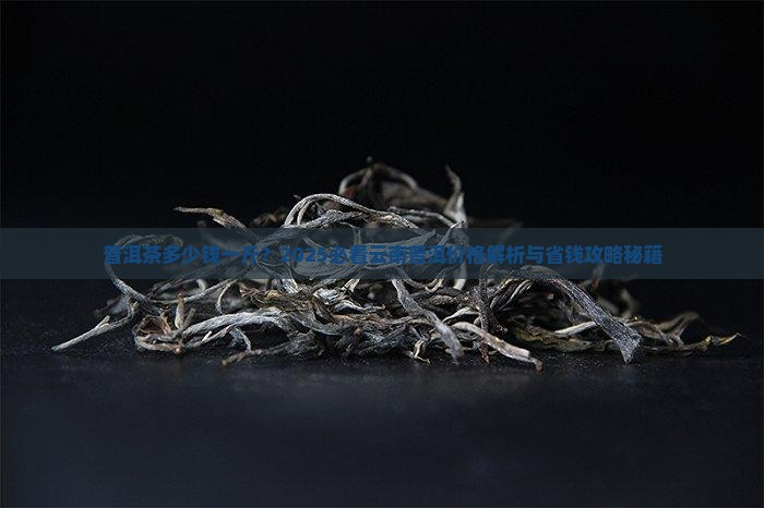 老梁说普洱茶多少钱一斤