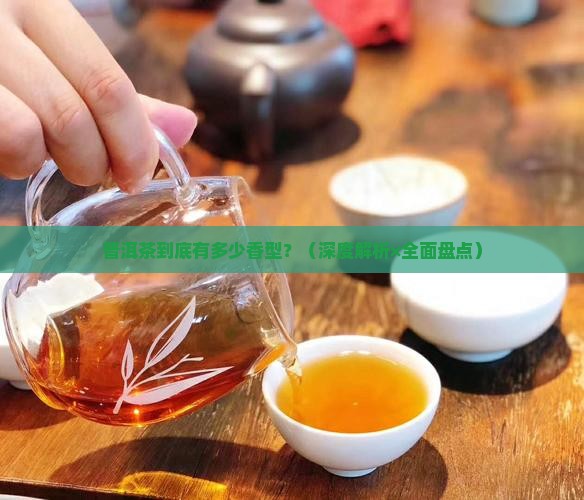 普洱茶有多少香型