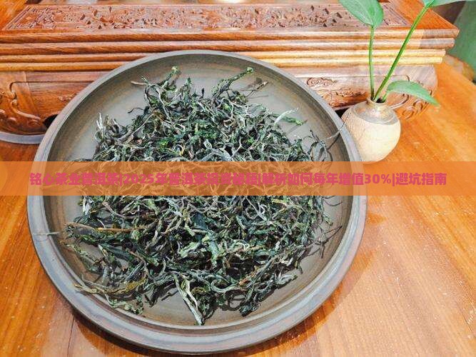 铭心茶业普洱茶