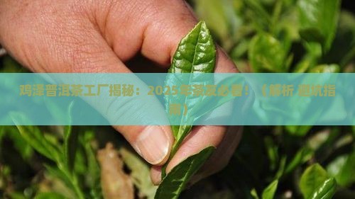 鸡泽普洱茶工厂