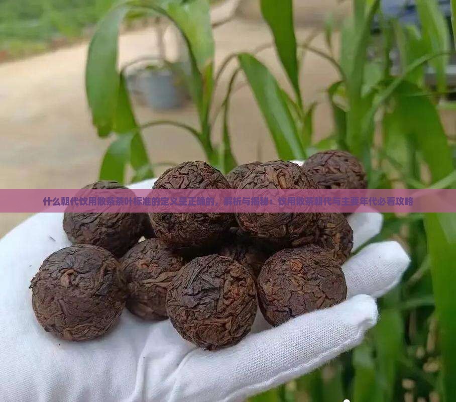 什么朝代饮用散茶茶叶标准的定义
