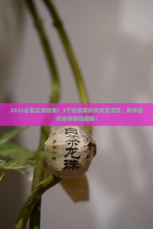 鸣青普洱茶鸣青普洱茶