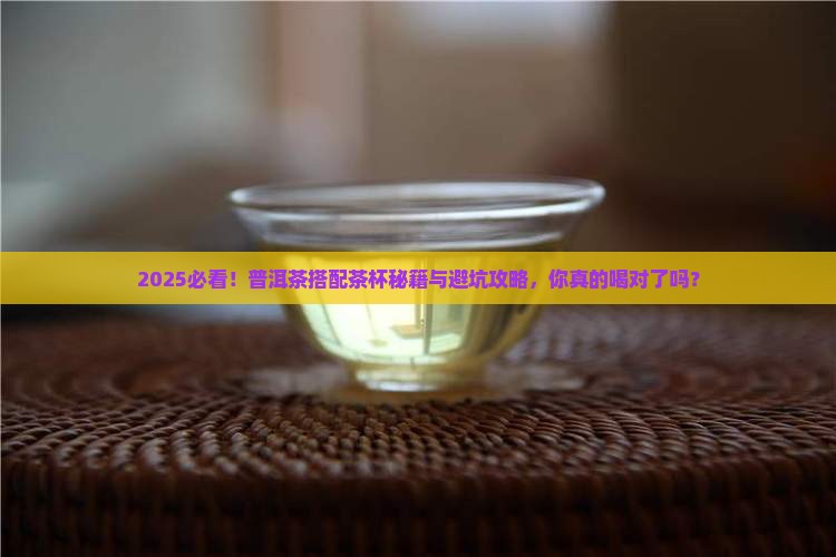普洱茶如何搭配茶杯
