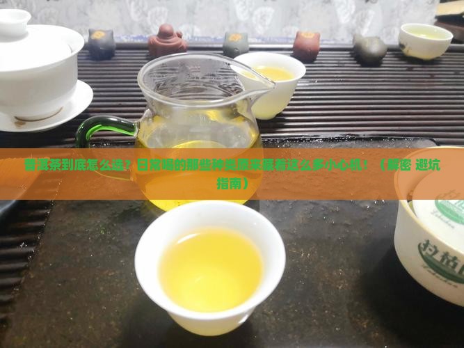 日常喝的普洱茶有哪些种类