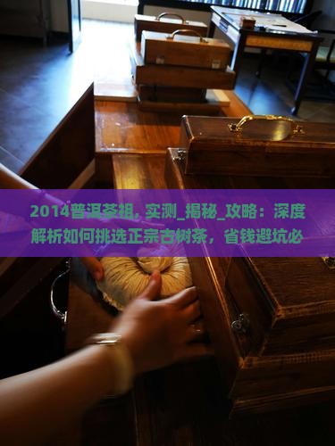 2014普洱茶祖