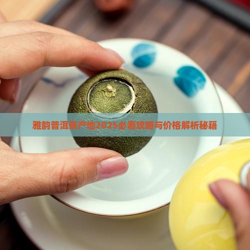 雅韵普洱茶产地