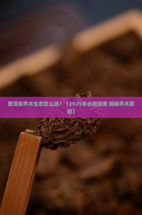 普洱茶乔木生态